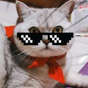 用户7577794746218的个人资料头像