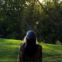 用户3339419124267头像