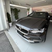 V90CC蝶贝灰头像