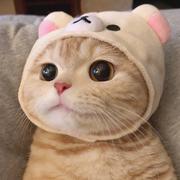 柚子君_的个人资料头像