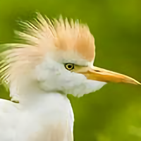 平淡生活随遇而安头像