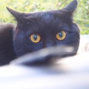 SAM495的个人资料头像