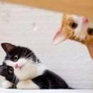 Donvy_y的个人资料头像