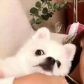 然然音乐汇头像