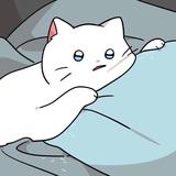 海上森林一只猫657头像