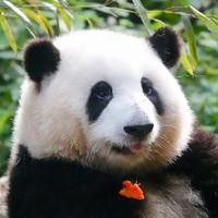 我们的歌谣131头像