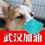 二十七八489头像