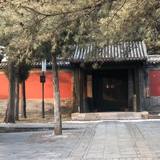豪车体验员大宽头像