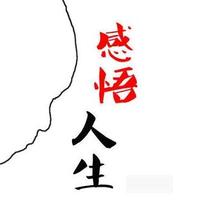 吴哥1688头像