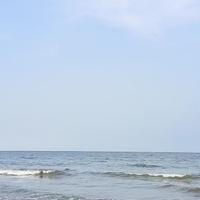 时光记忆老酒头像