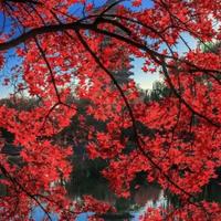 用户4046260818332头像