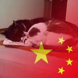 痴迷淡然548头像