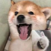 小姜向前冲的个人资料头像