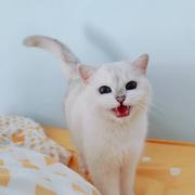 DROWN的个人资料头像