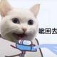 爱夏539头像