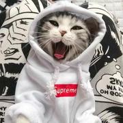 小安不迷茫的个人资料头像