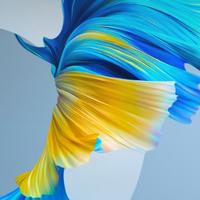 用户6862906574333头像