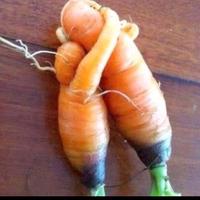 鑫森淼焱垚头像