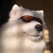 攒点对冲基金的个人资料头像