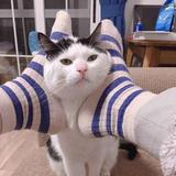 用户2254312674613头像