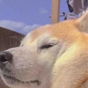 是Calm头像
