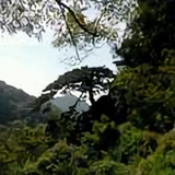 SONG42320830头像