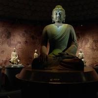 初心依旧91539头像