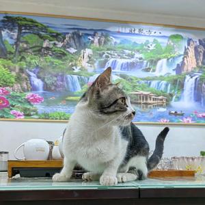 樂樂头像