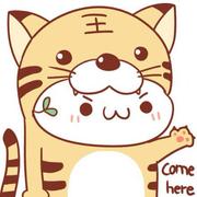 Bug造就师的个人资料头像