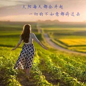 优雅比尔3t4头像