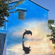 十三7126的个人资料头像