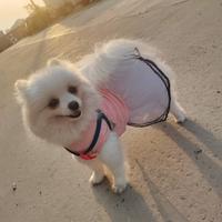 一个奔跑的蜗牛头像