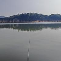 养了个凌云头像