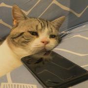 偏执725的个人资料头像