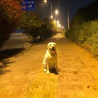ck在风中头像