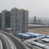 才思敏捷帆船yU头像