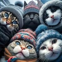 TO海绵大叔OT头像