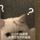 大興安嶺头像