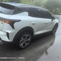 忘忧草其实是黄花菜m头像