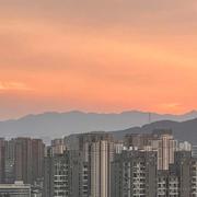 Stat的个人资料头像