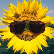 用户5506066150349的个人资料头像