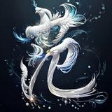 极速海风Uxn头像
