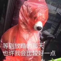 kkevinww头像