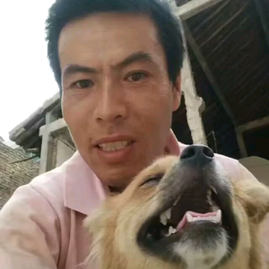 咸阳忠卫警犬训练头像