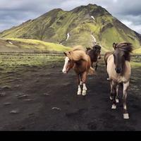 保持清醒Ww头像