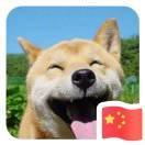 去海滩捉鱼的个人资料头像