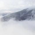 是人才没错呀头像