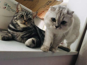 sq48063的个人资料头像