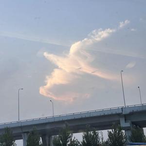 坦荡的溪流头像