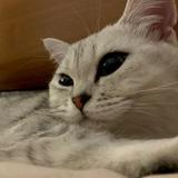 用户1194448101092头像